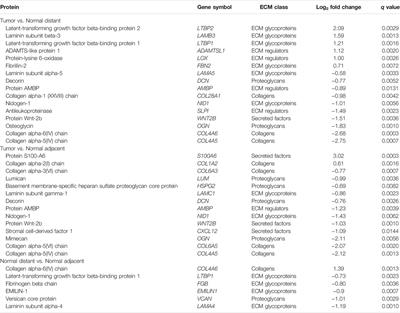 Proteomic Identification of a Gastric Tumor ECM Signature Associated With Cancer Progression